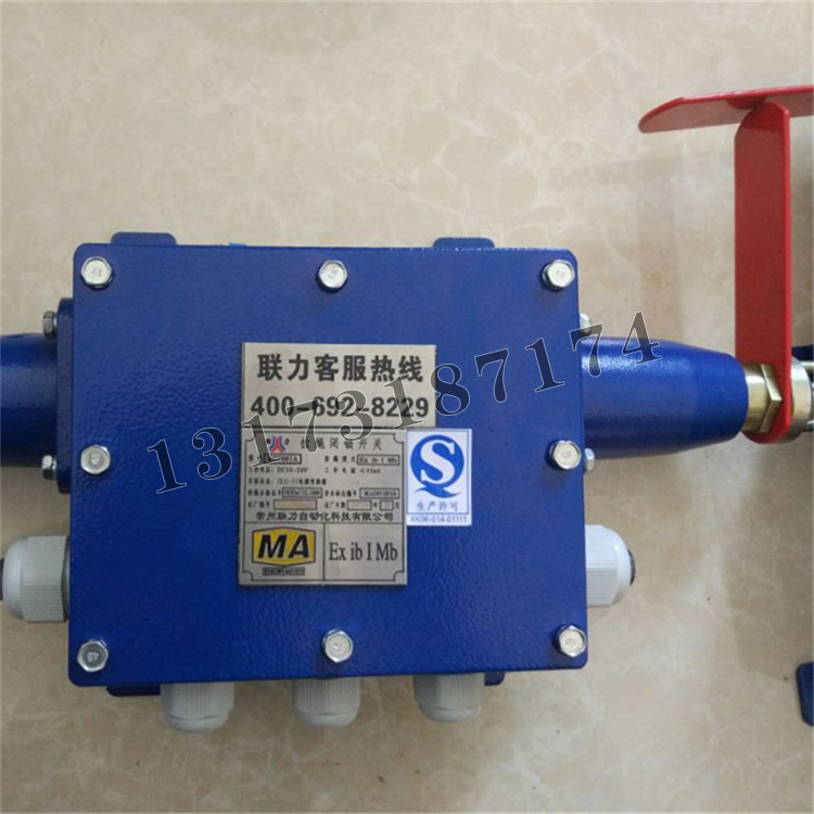 KG9001A-Z拉繩閉鎖開(kāi)關(guān)|常州聯(lián)力自動(dòng)化科技有限公司