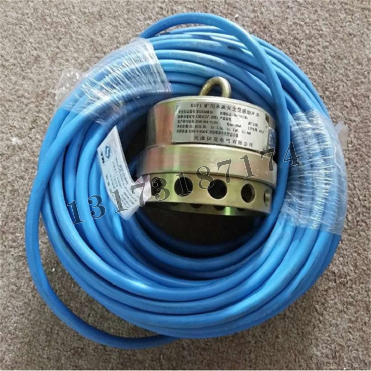 KGV1礦用本質(zhì)安全型感煙開關(guān)|天津貝克電氣有限公司