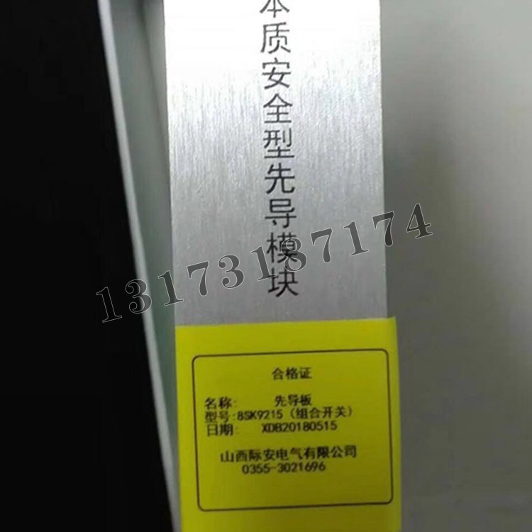 先導(dǎo)板8SK9215本質(zhì)安全型先導(dǎo)模塊（組合開(kāi)關(guān)）|山西際安電氣有限公司